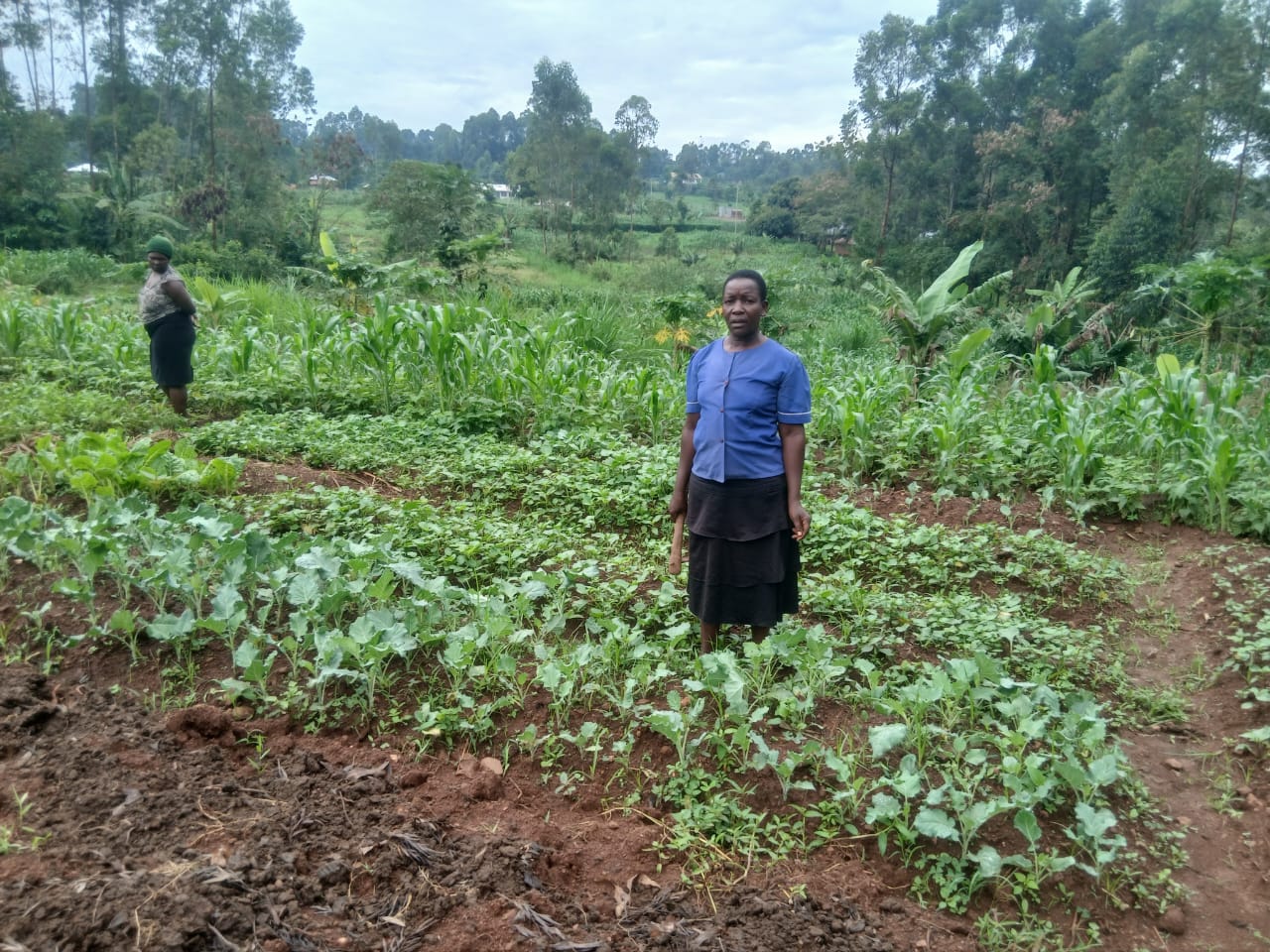 Organic Food Kenya borehole or water project in Kamiyawa Village