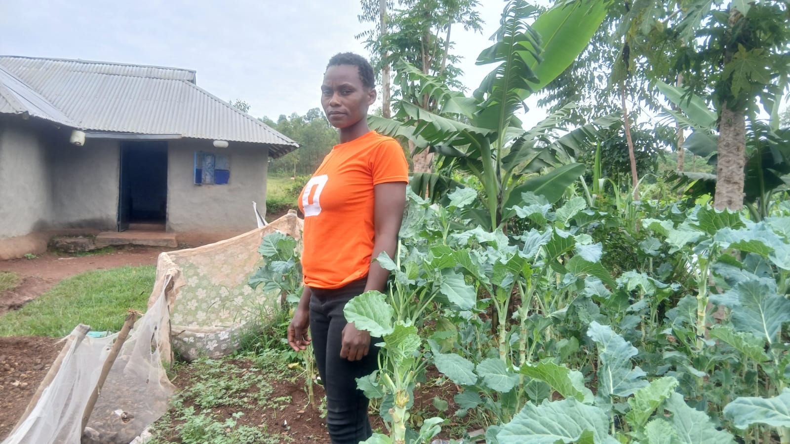 Organic Food Kenya latest community water project