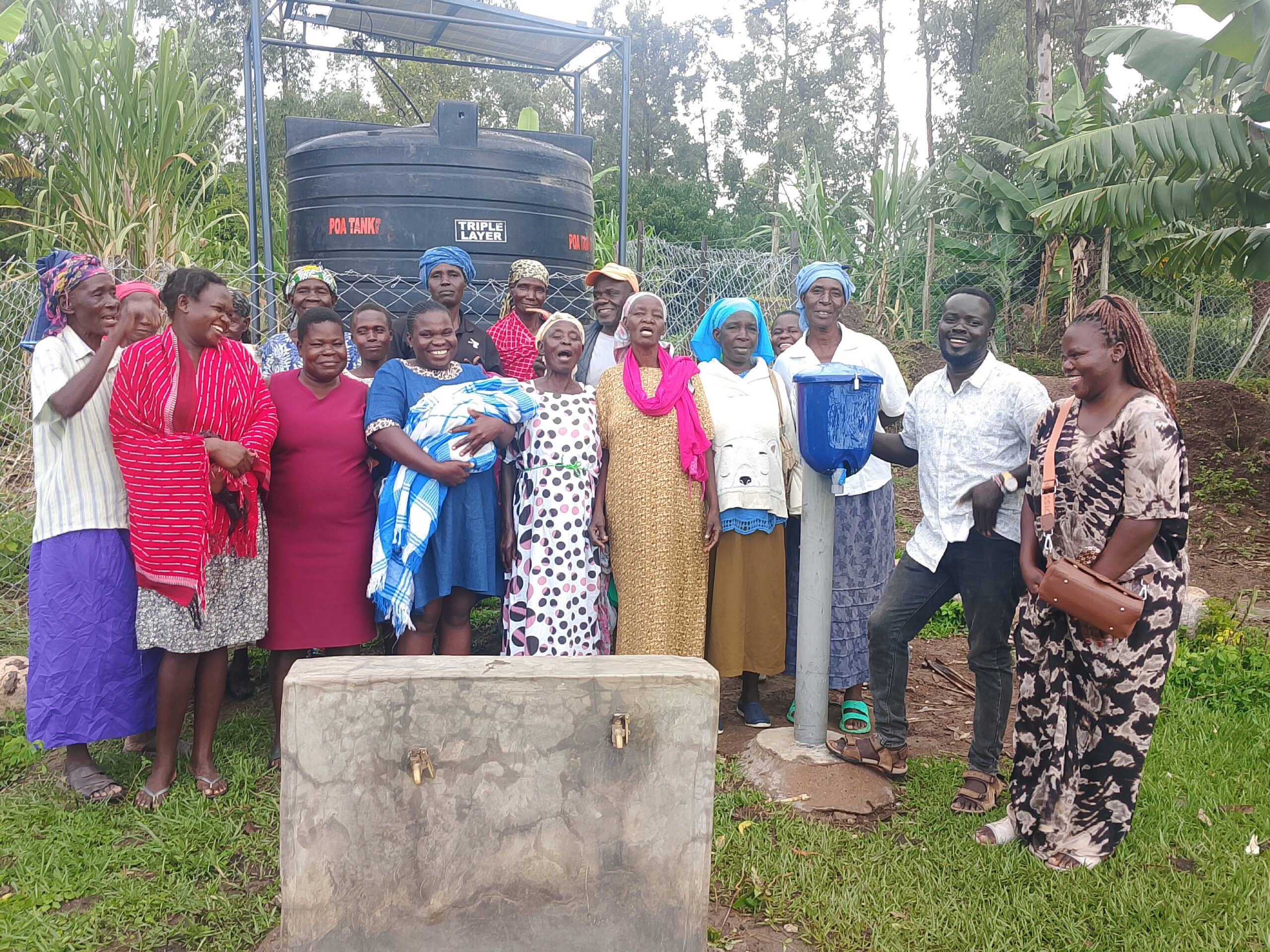 Organic Food Kenya seeds fruit trees and garden implementation